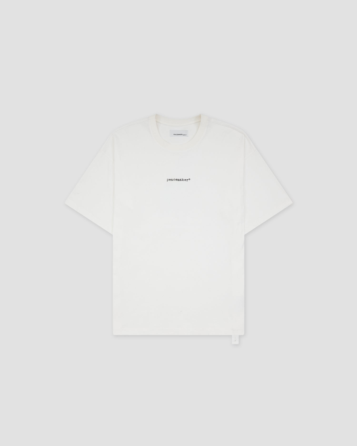 Loose Fit Tshirt Pigeon Print