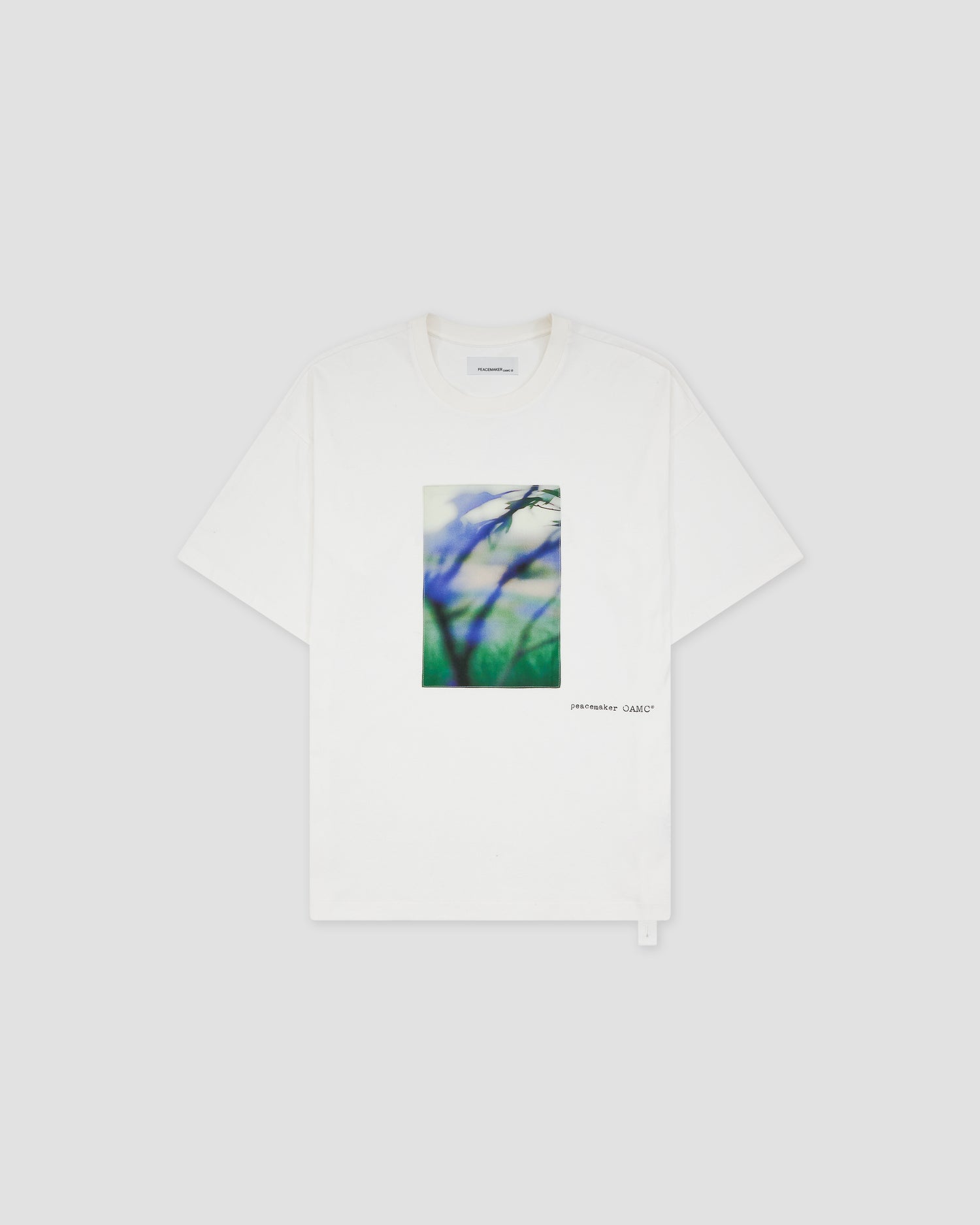 Loose Fit Tshirt Landart Print
