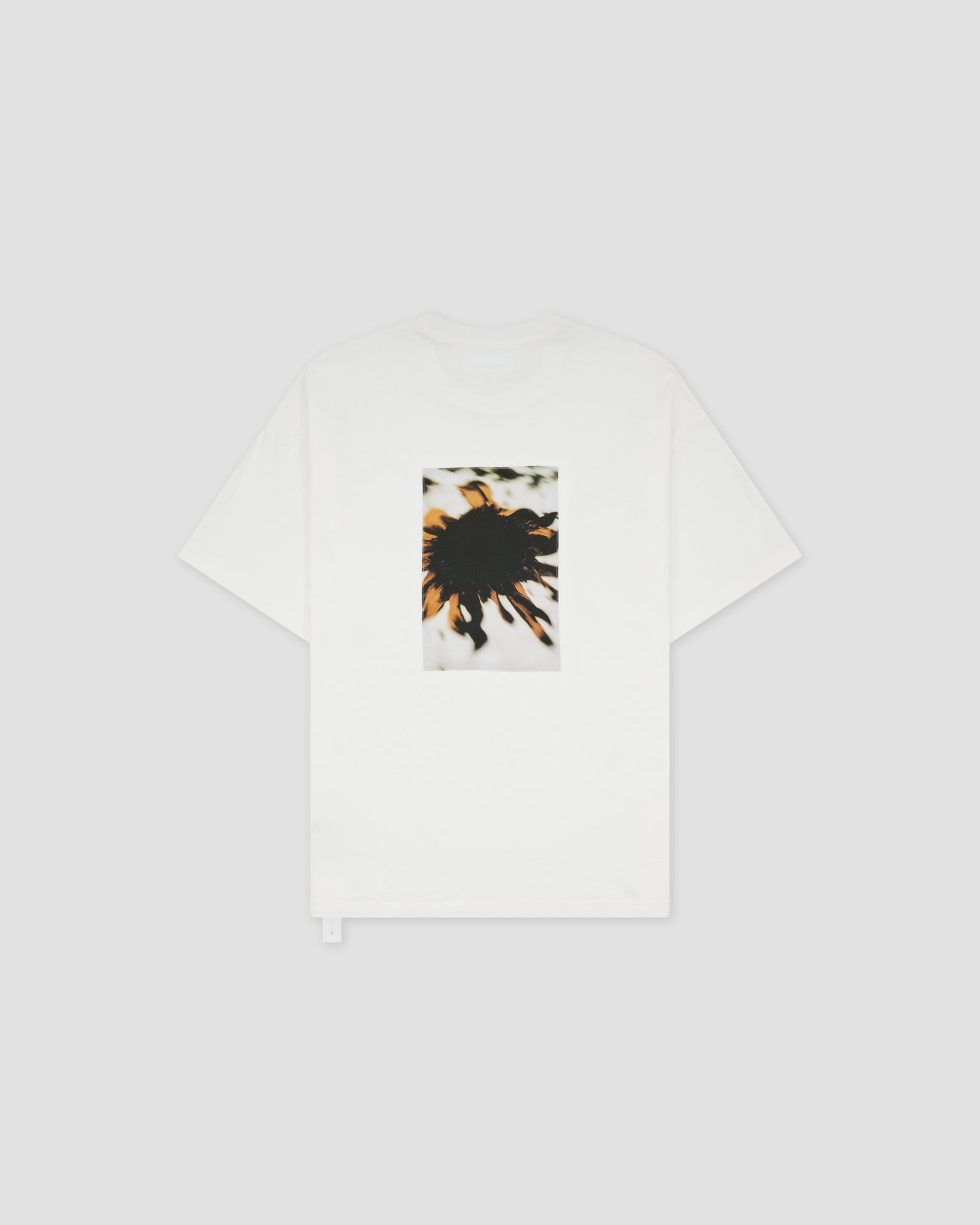 Loose Fit Tshirt Landart 02 Print