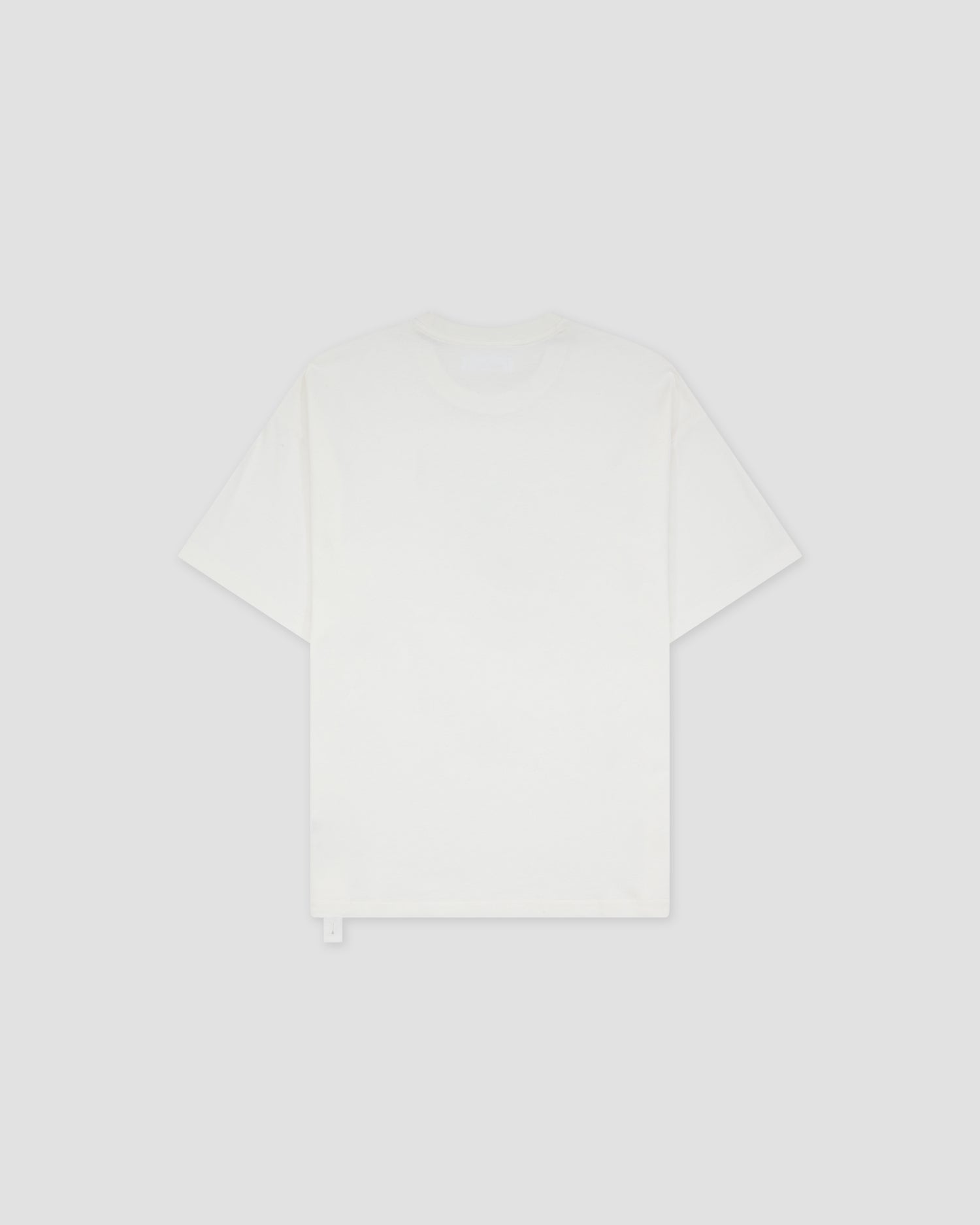 Loose Fit Tshirt Landart 03 Print